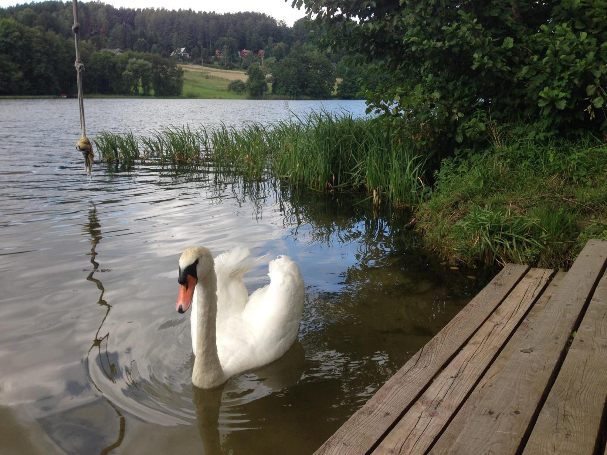 Holiday park Modra Sobotka *